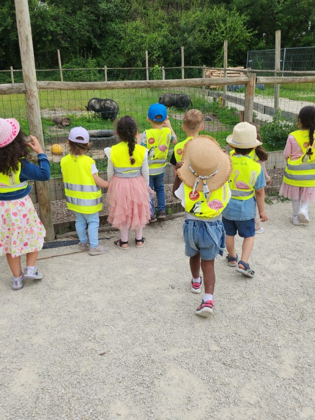 Petite journée à Jungle City avec Madame Galina M1