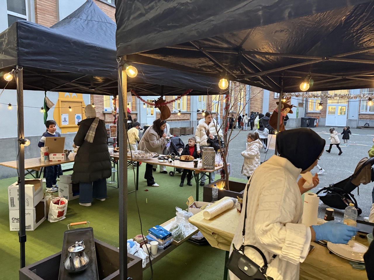 IMG_7878 - Grande IMG_7878 - Grande