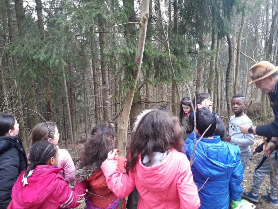 Classes vertes à Villers-Sainte-Gertrude, deuxième journée