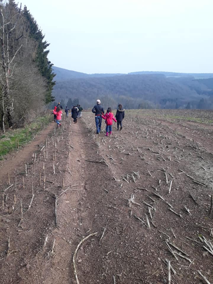 Classes vertes à Villers-Sainte-Gertrude, deuxième journée