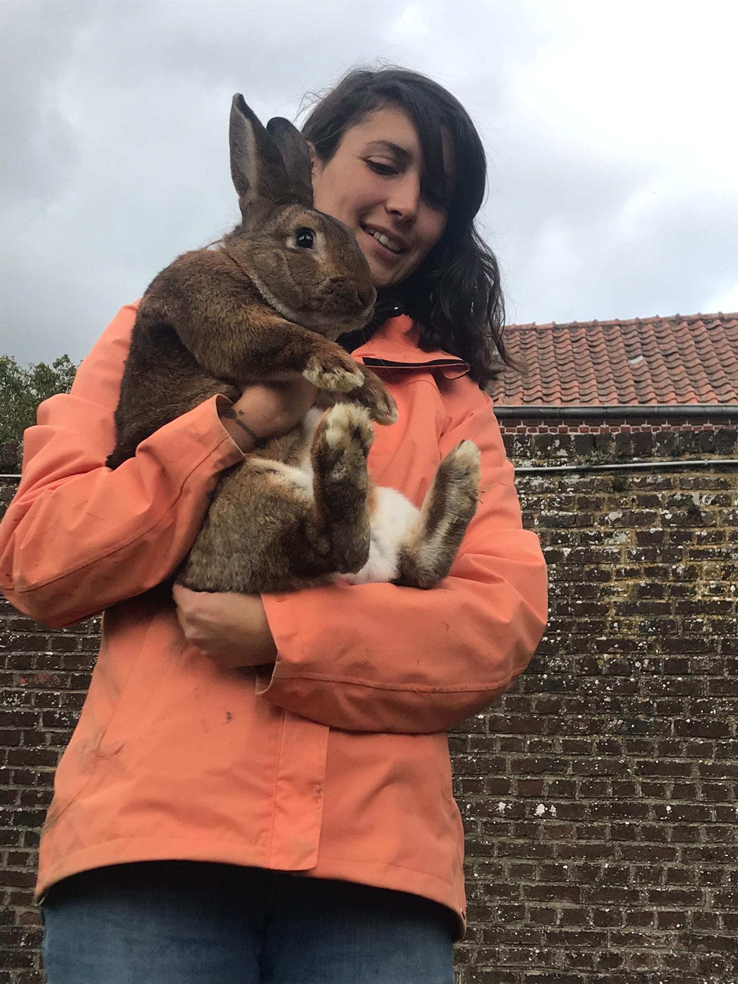 Sortie à la ferme