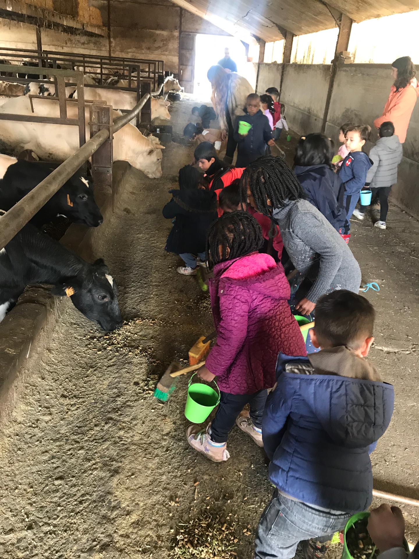 Sortie à la ferme