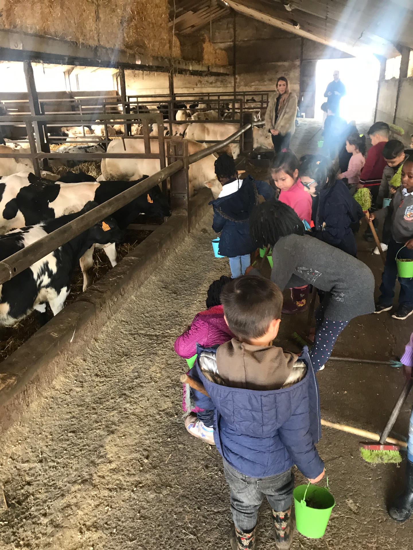 Sortie à la ferme