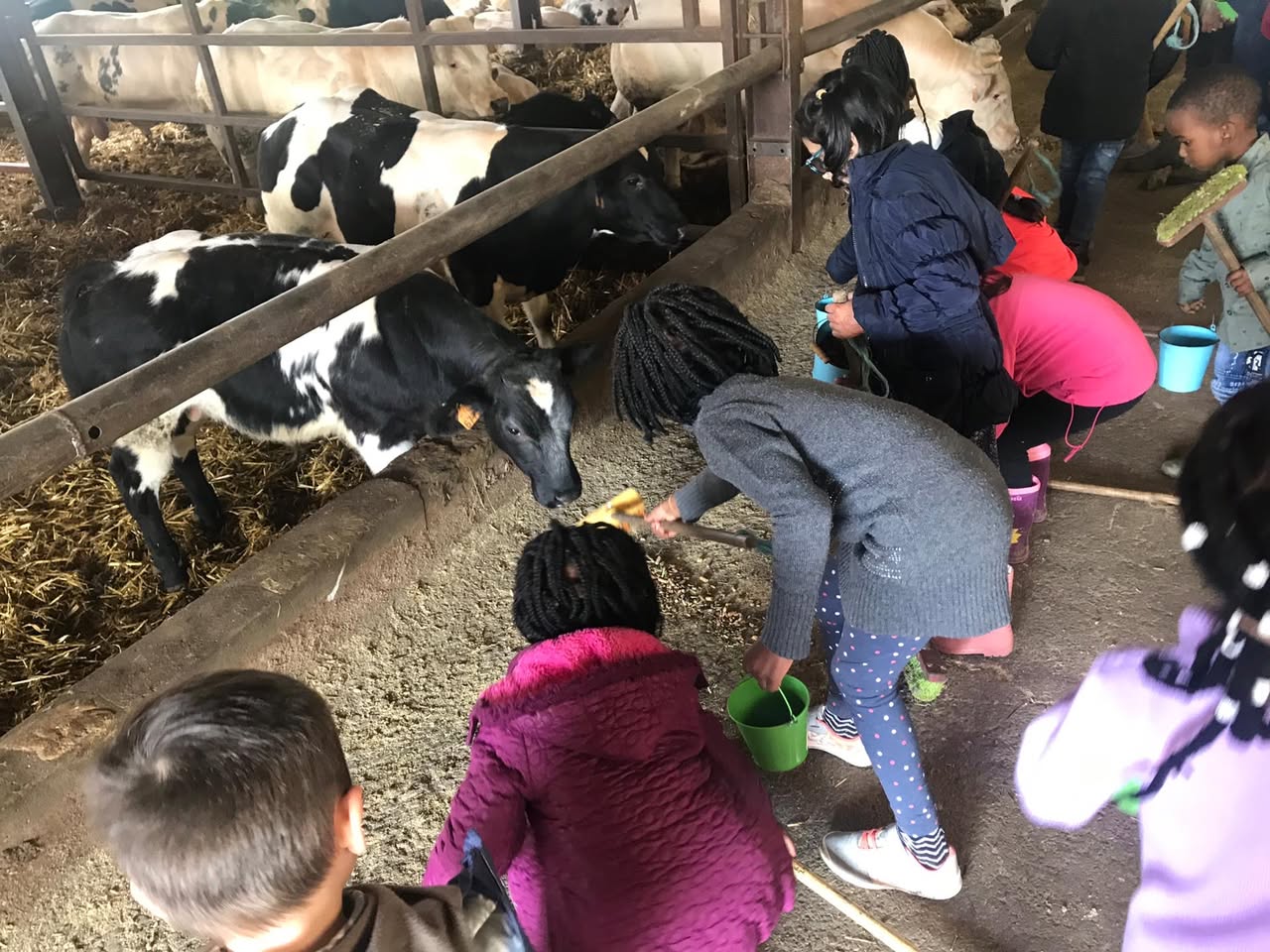 Sortie à la ferme