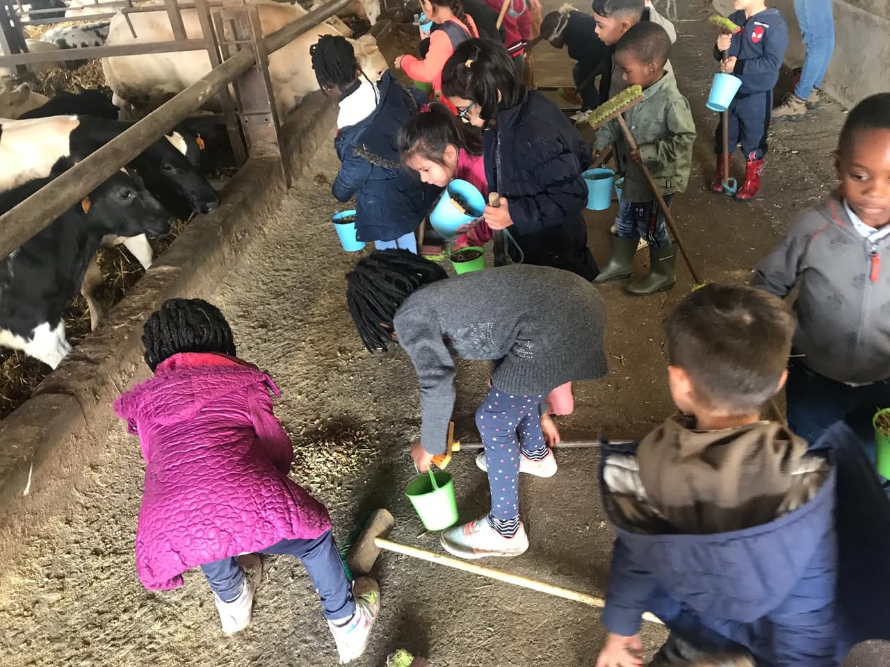 Sortie à la ferme