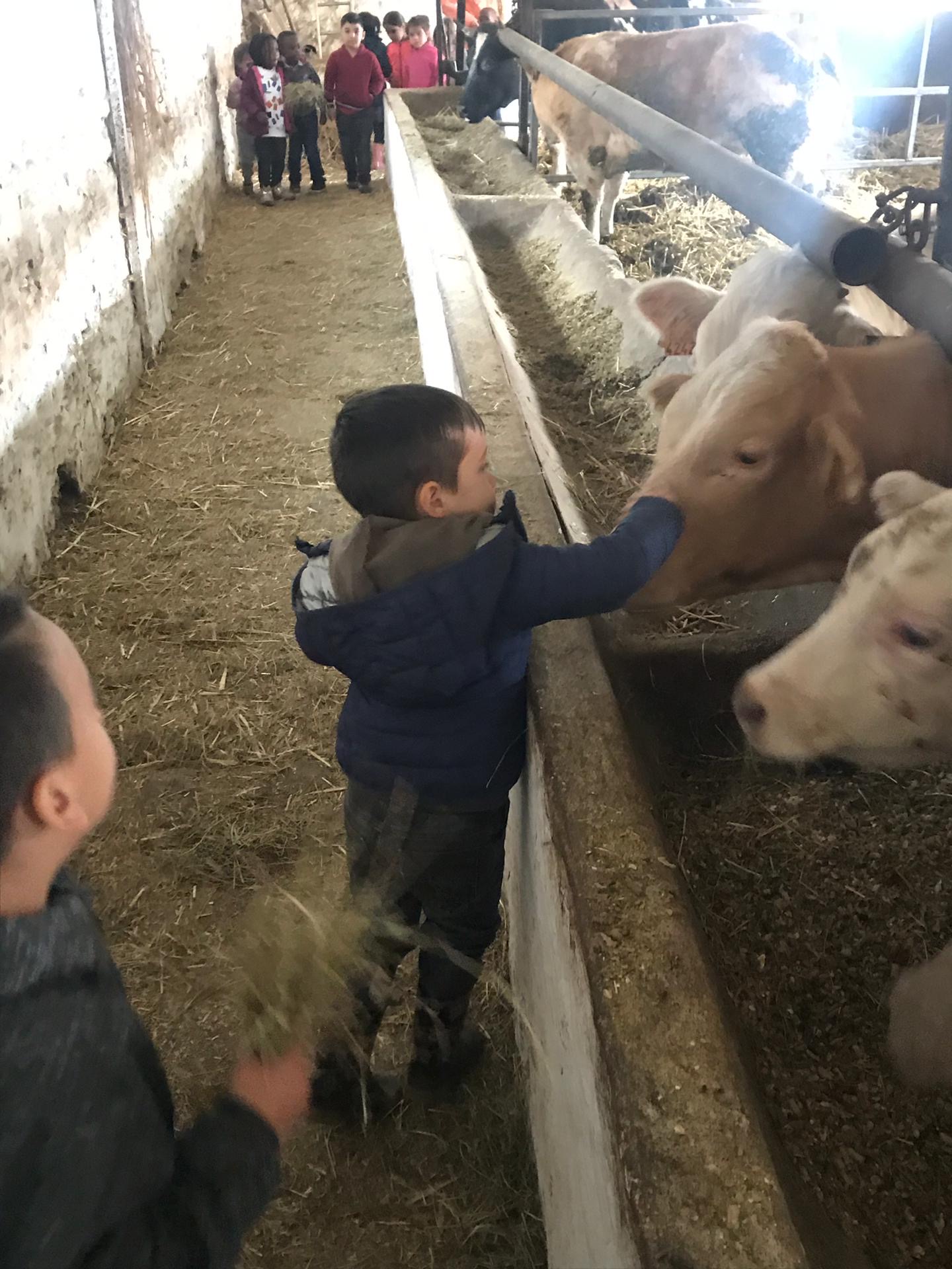 Sortie à la ferme