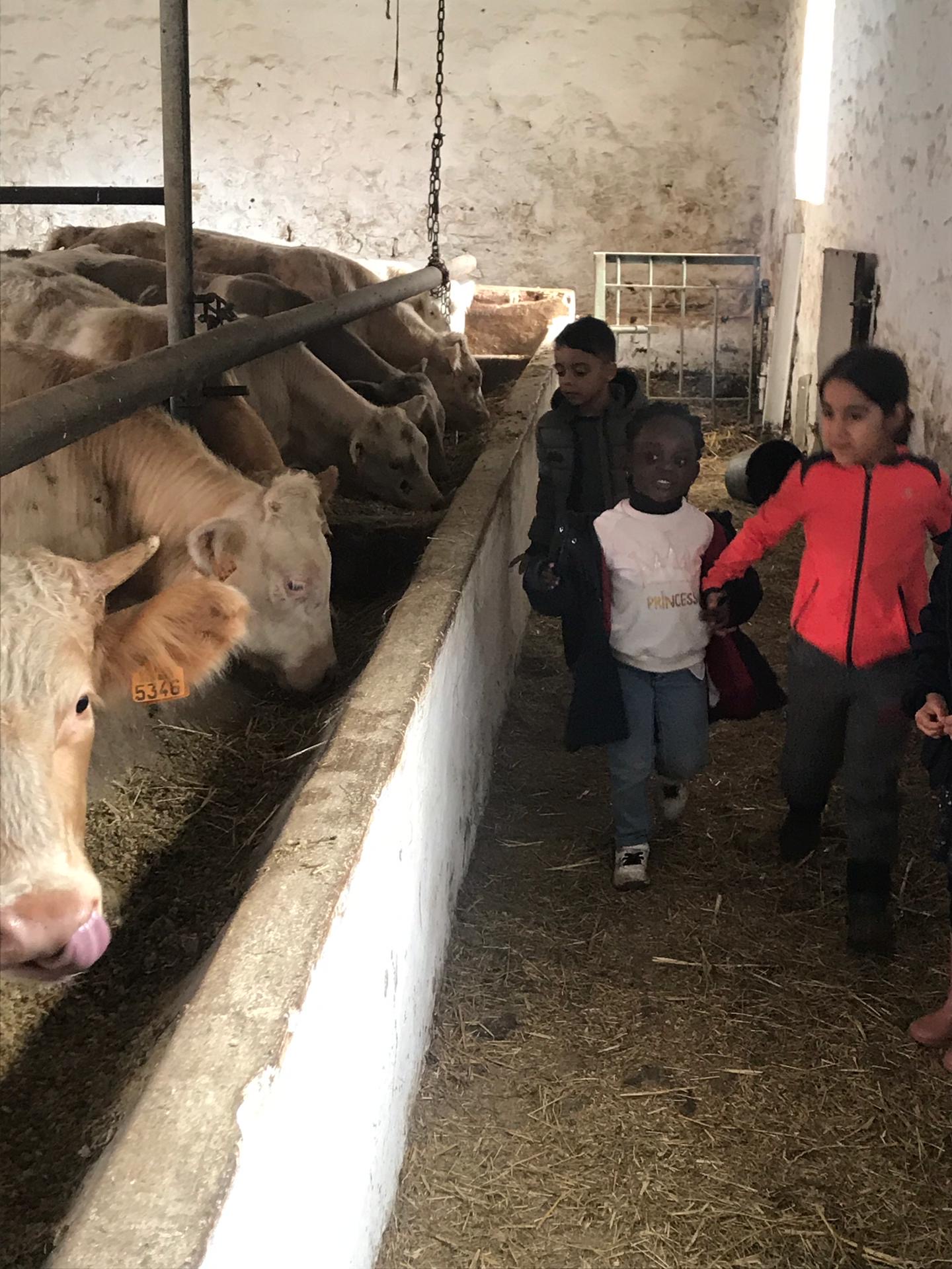 Sortie à la ferme