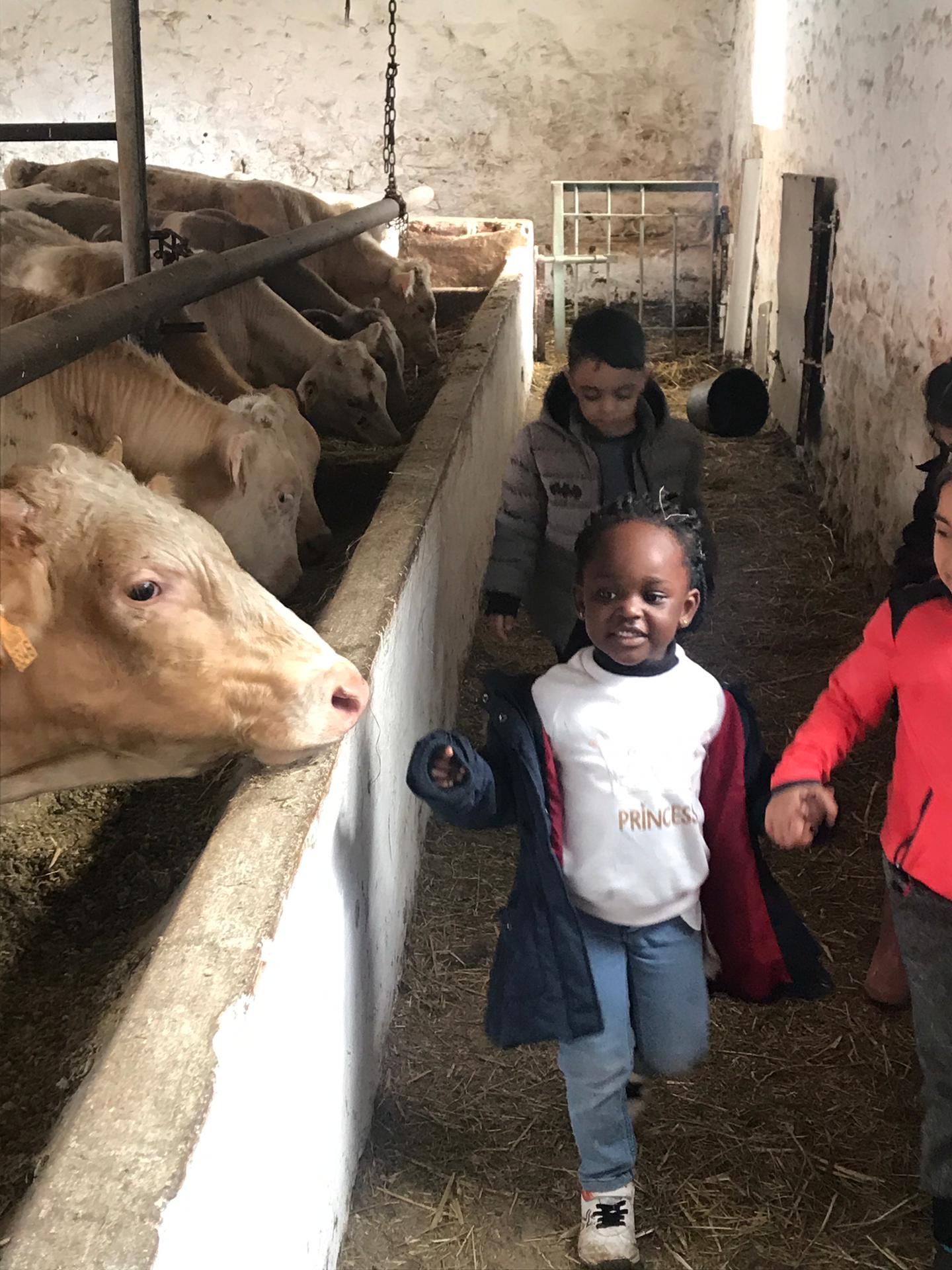 Sortie à la ferme