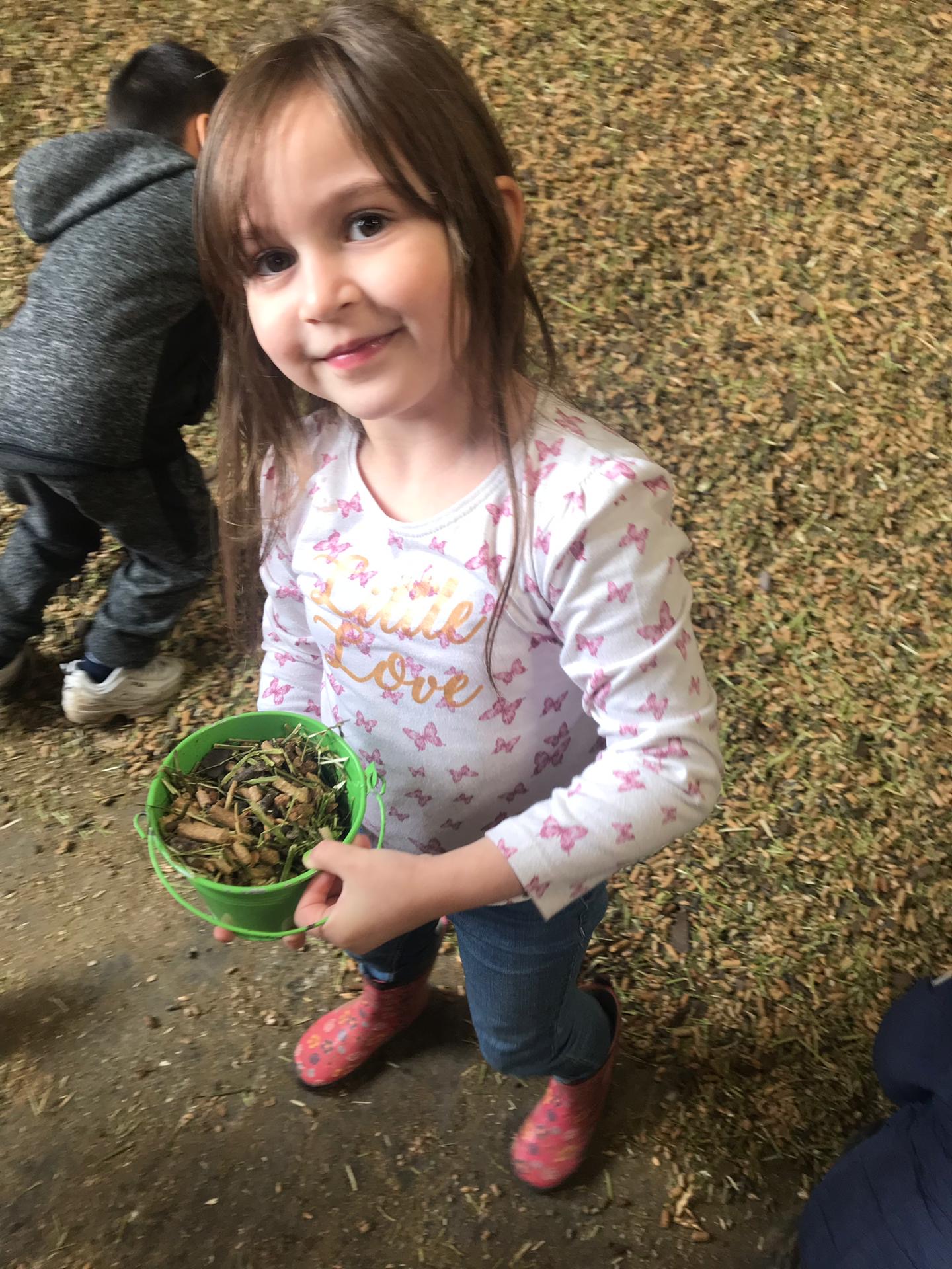 Sortie à la ferme