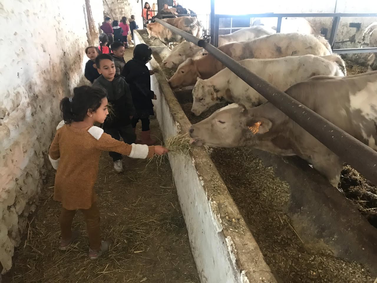 Sortie à la ferme