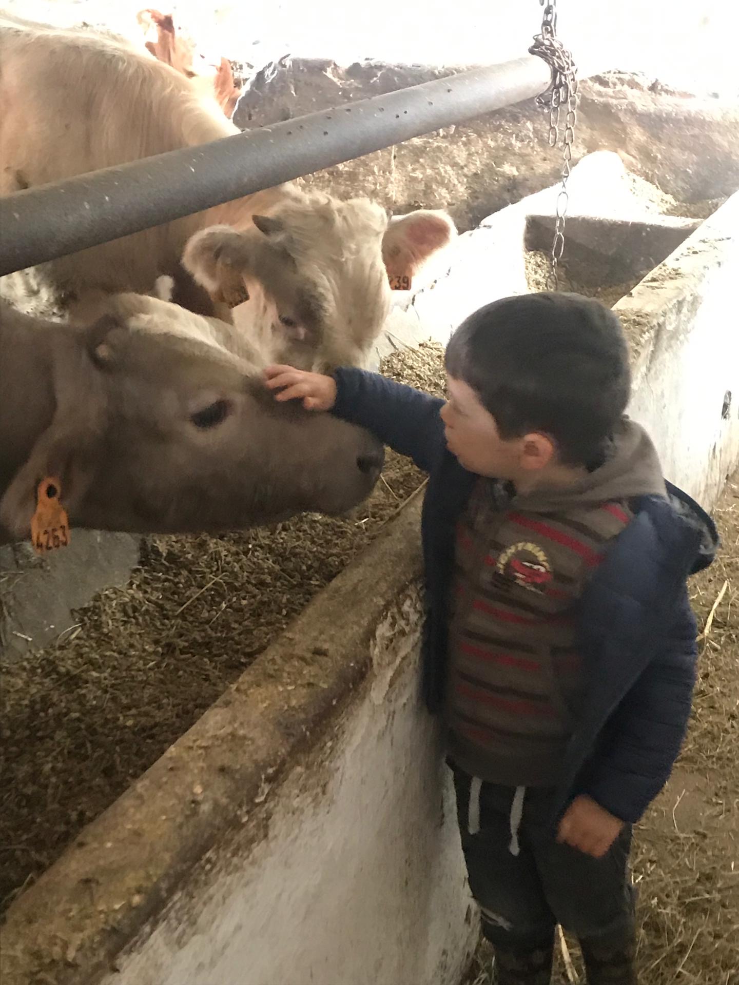 Sortie à la ferme
