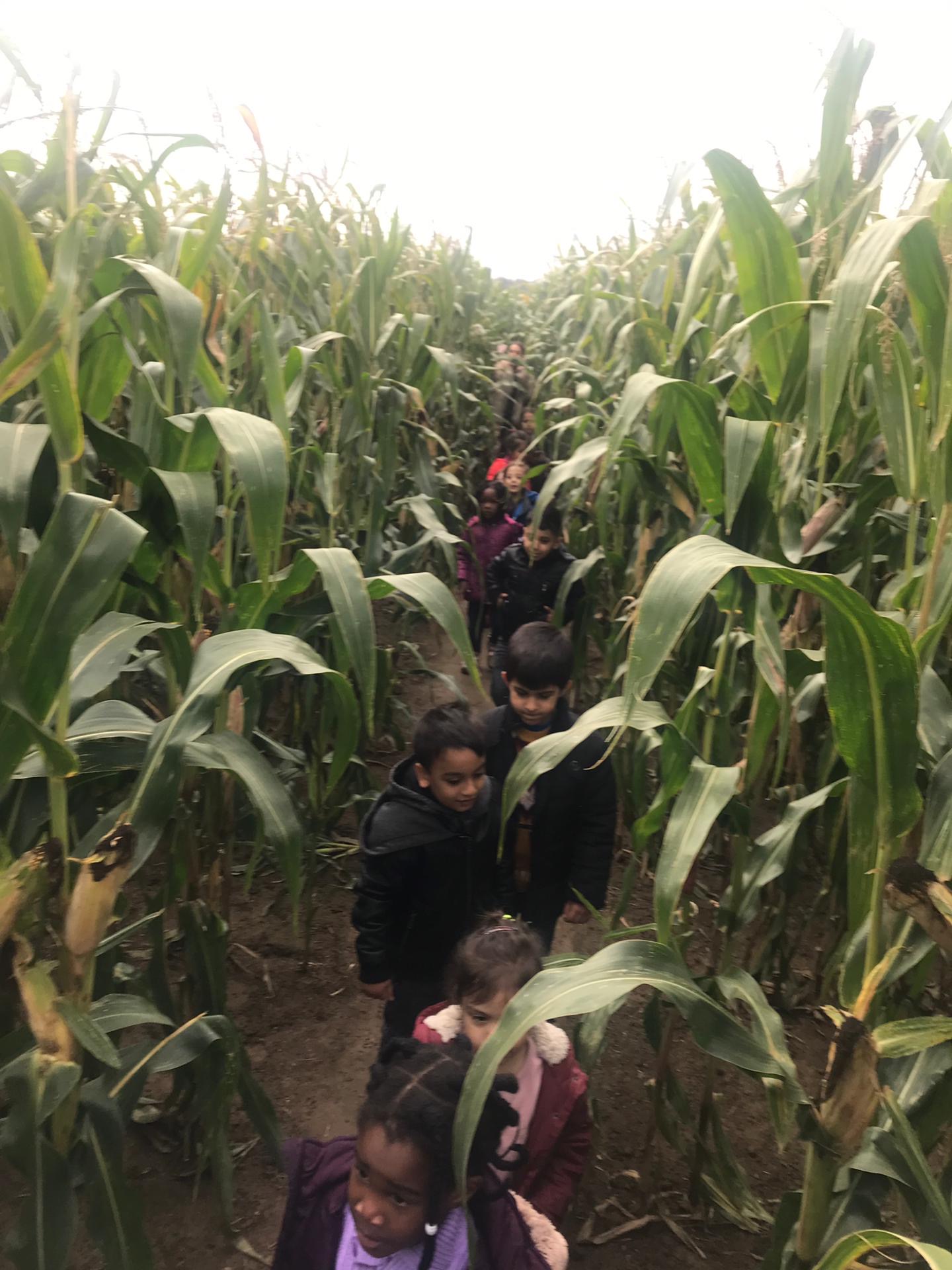 Sortie à la ferme