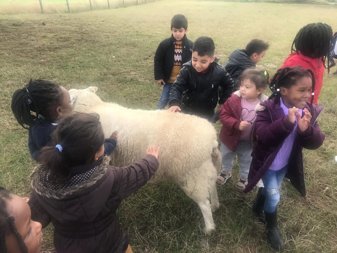 Sortie à la ferme