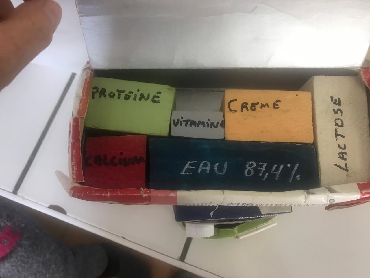 Sortie à la ferme