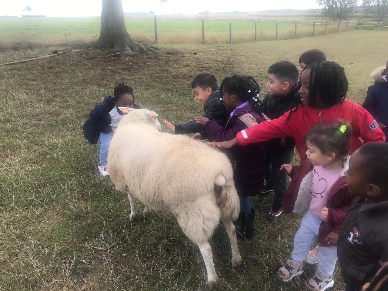 Sortie à la ferme