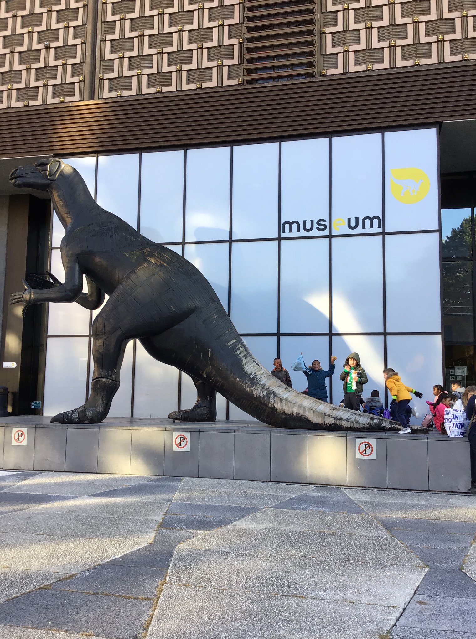 Sortie au Musée des sciences naturelles