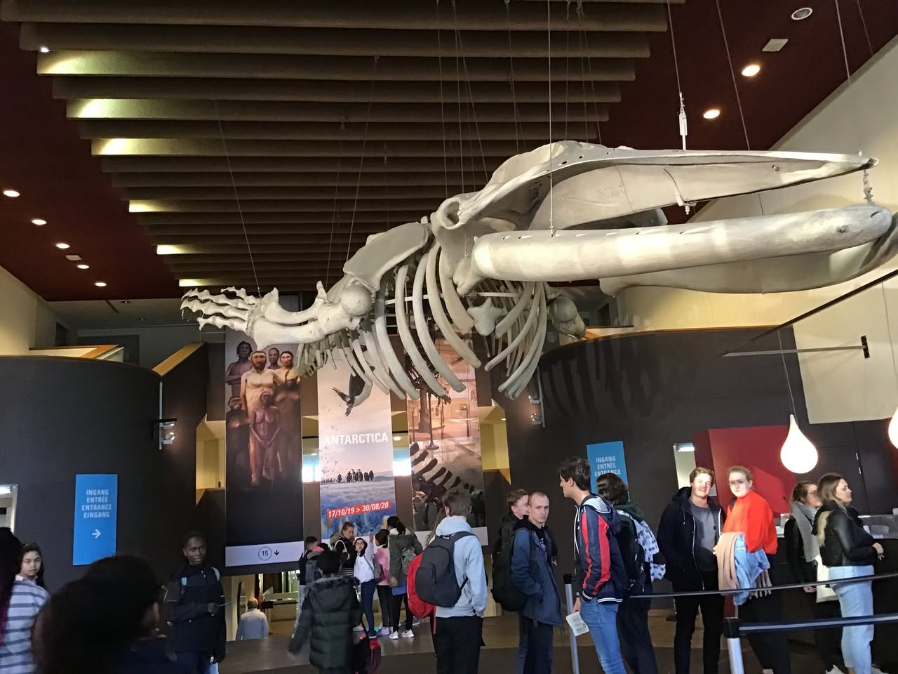 Sortie au Musée des sciences naturelles
