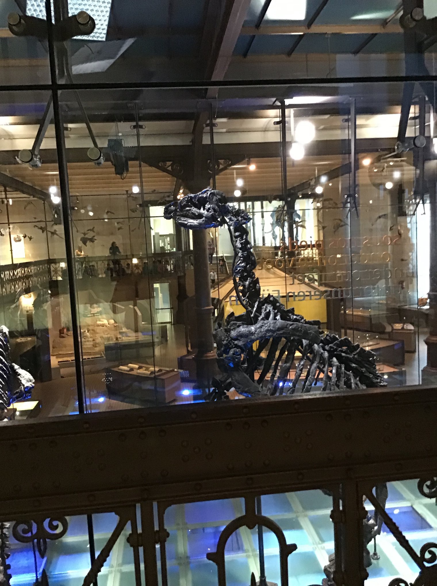 Sortie au Musée des sciences naturelles