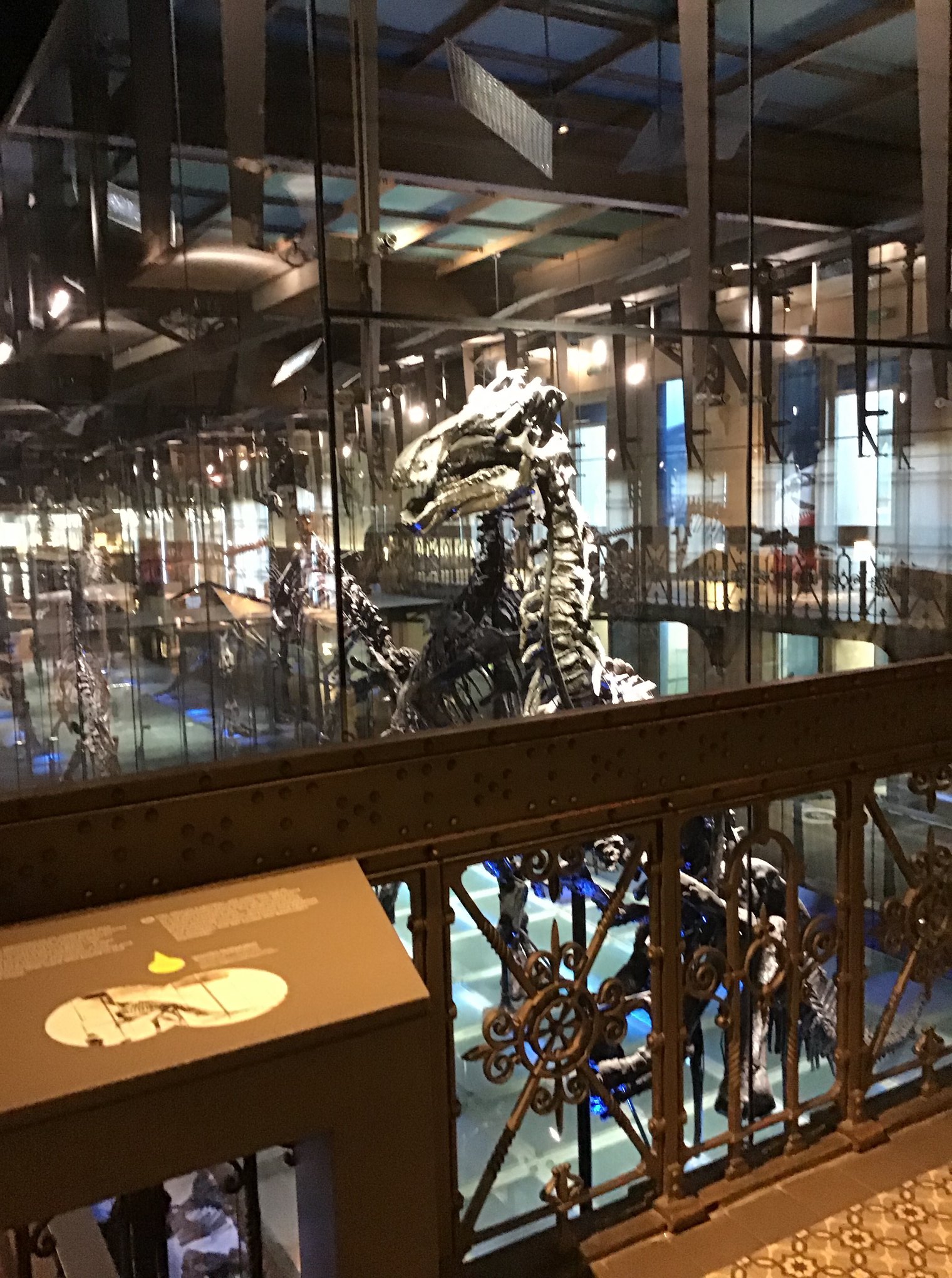 Sortie au Musée des sciences naturelles
