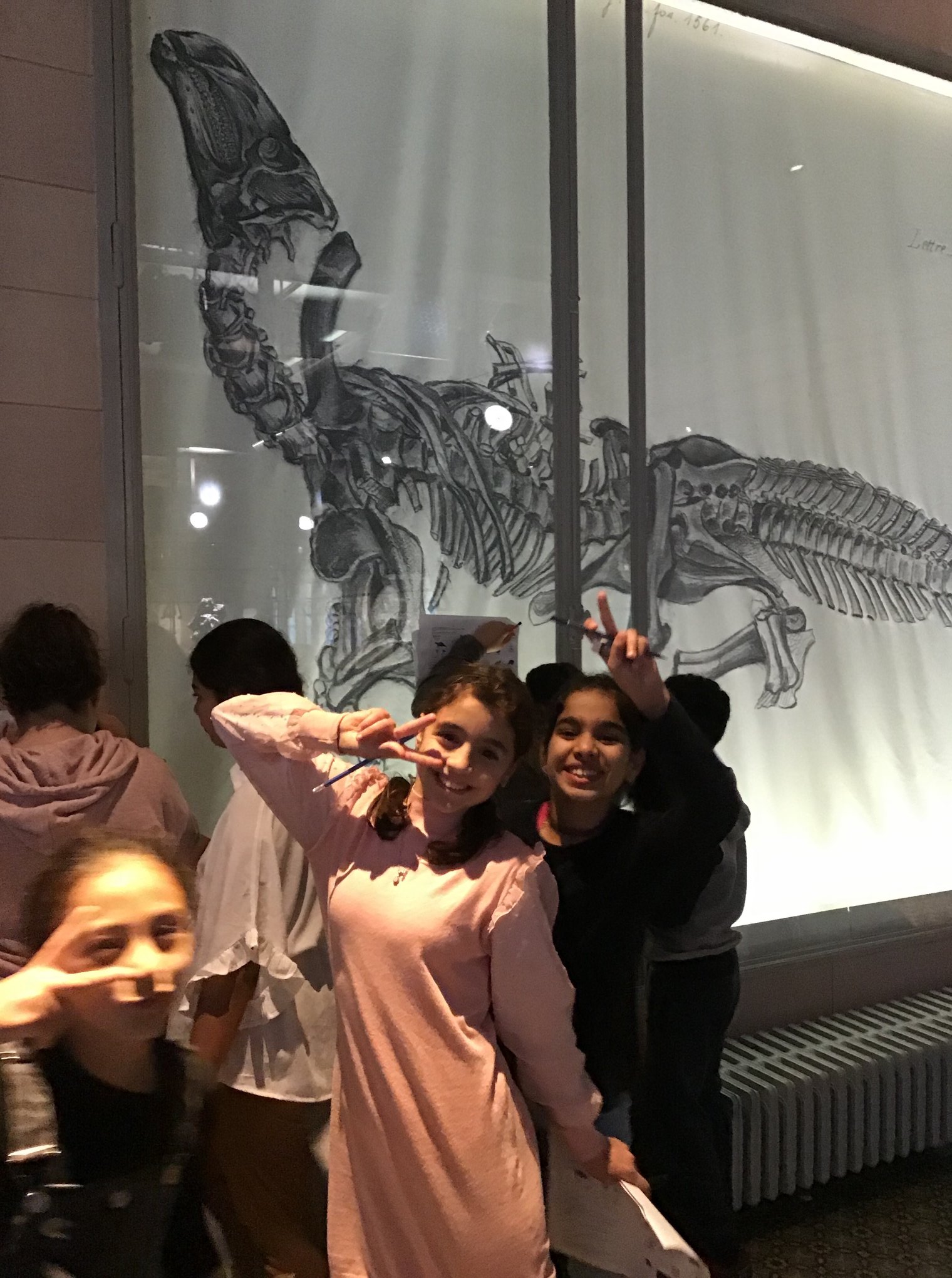 Sortie au Musée des sciences naturelles