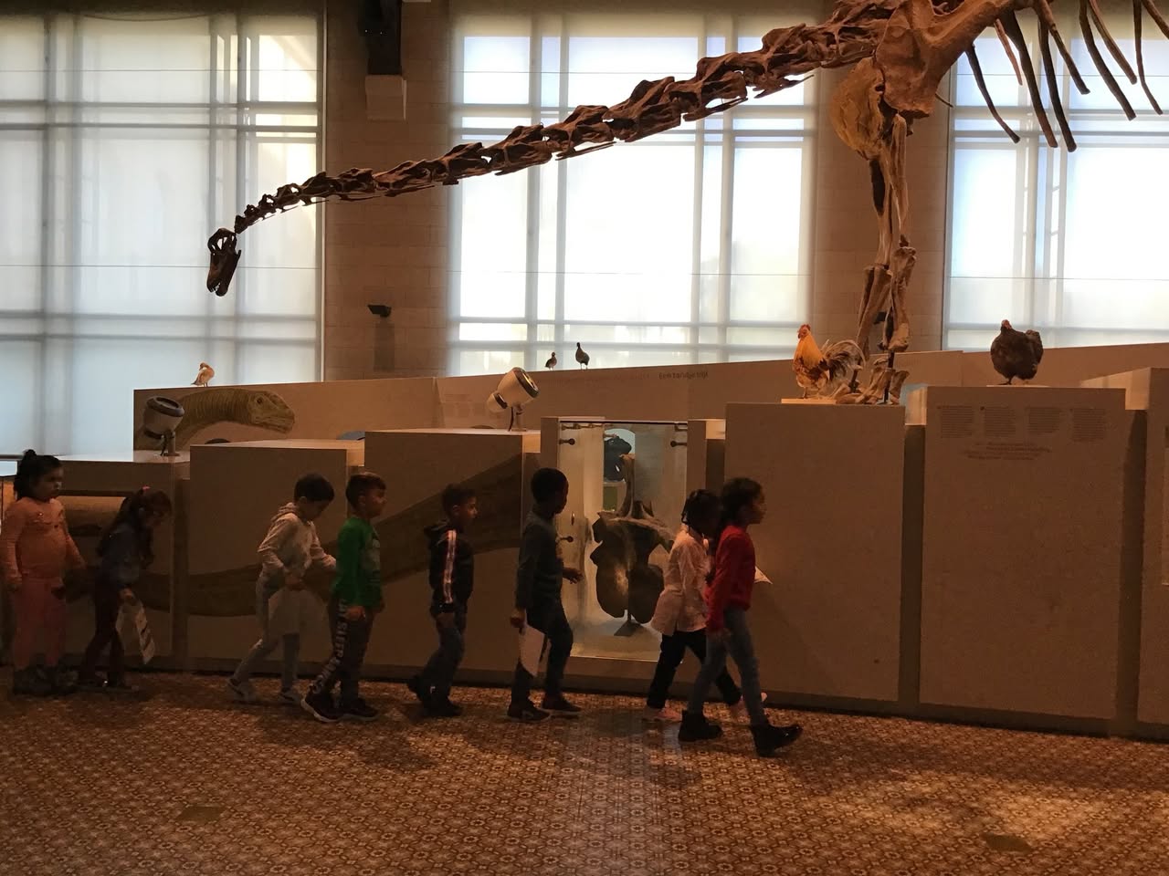 Sortie au Musée des sciences naturelles
