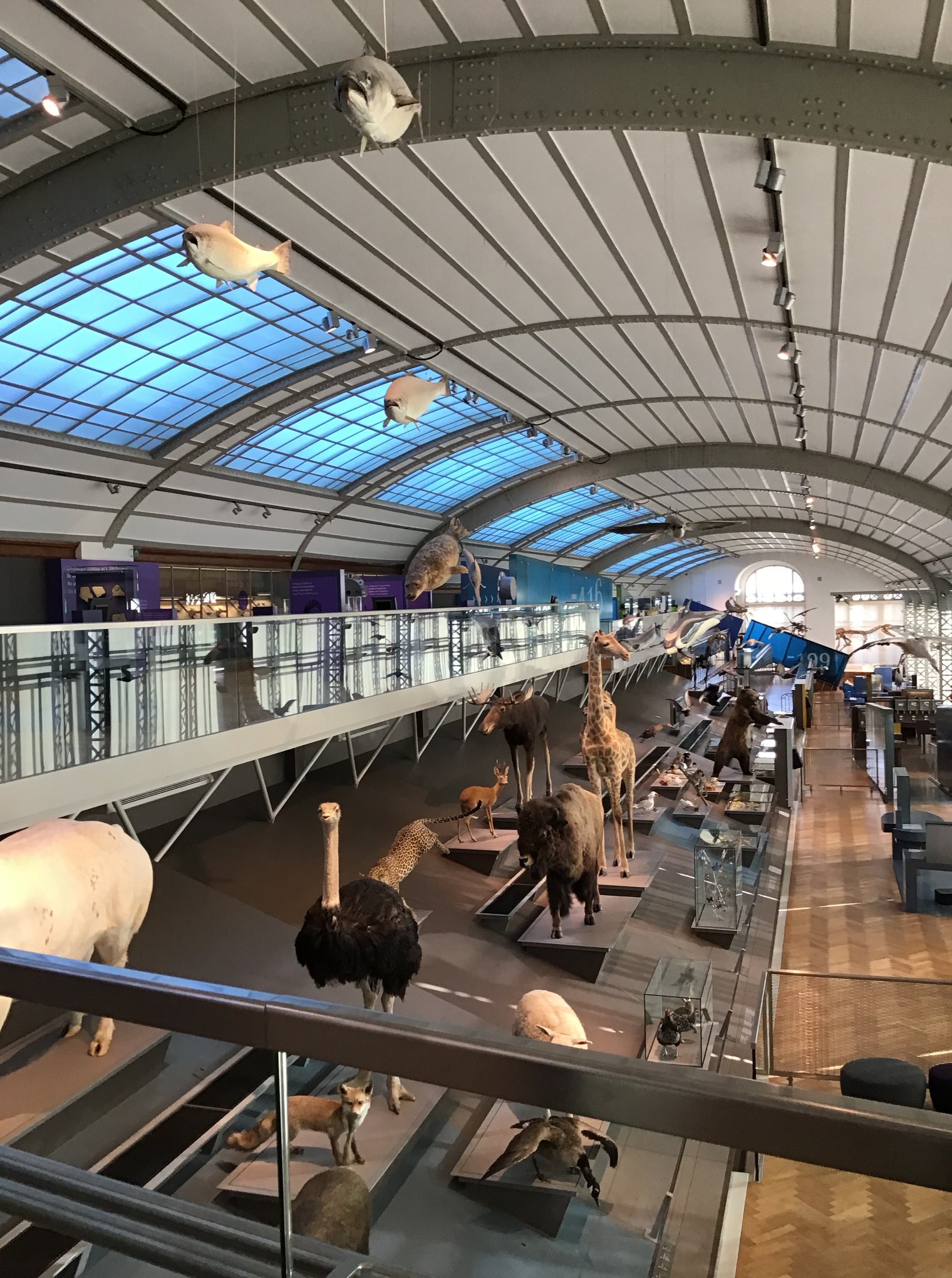 Sortie au Musée des sciences naturelles