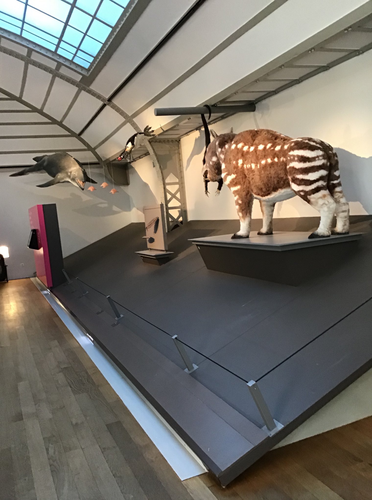 Sortie au Musée des sciences naturelles