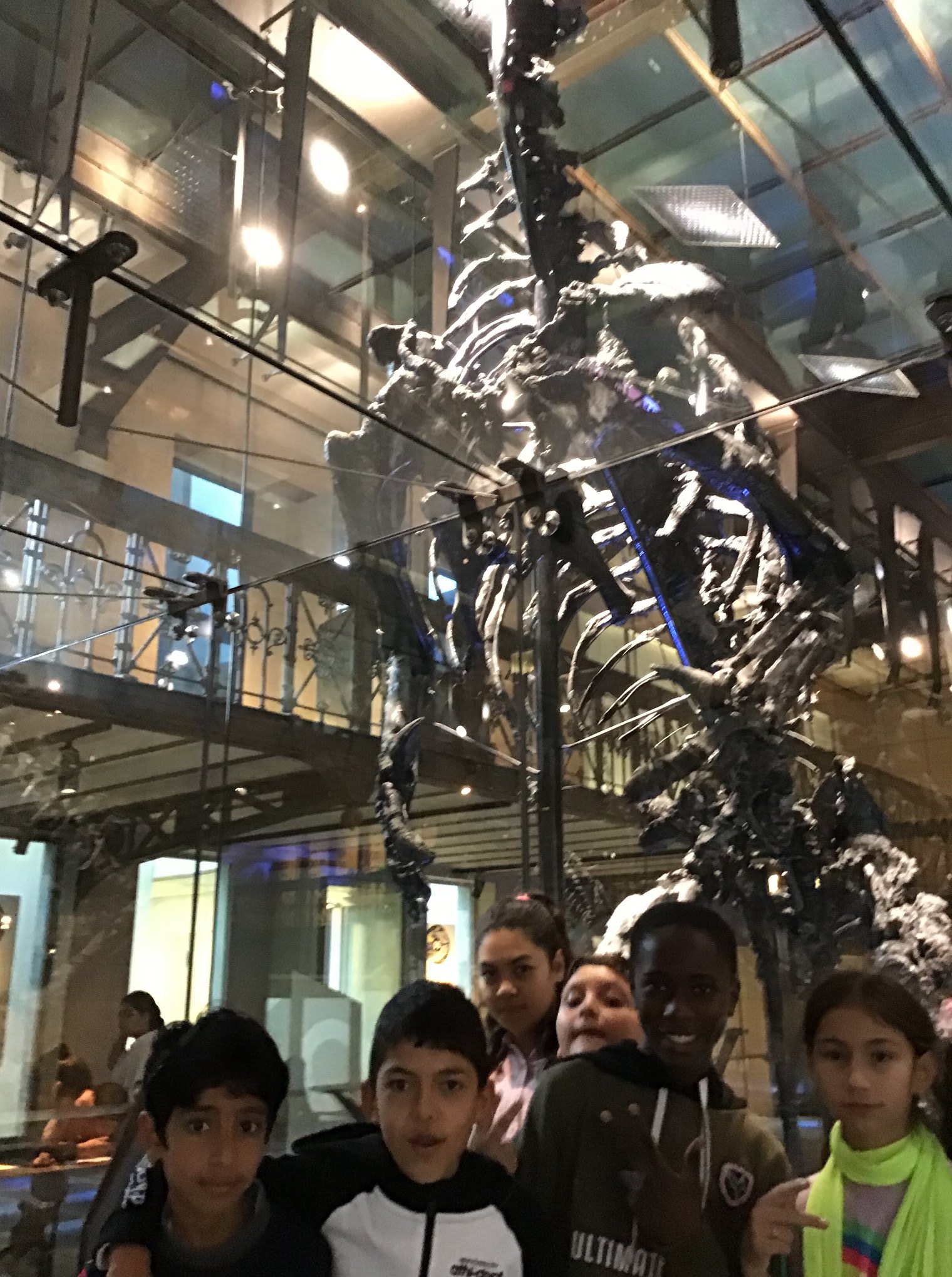 Sortie au Musée des sciences naturelles