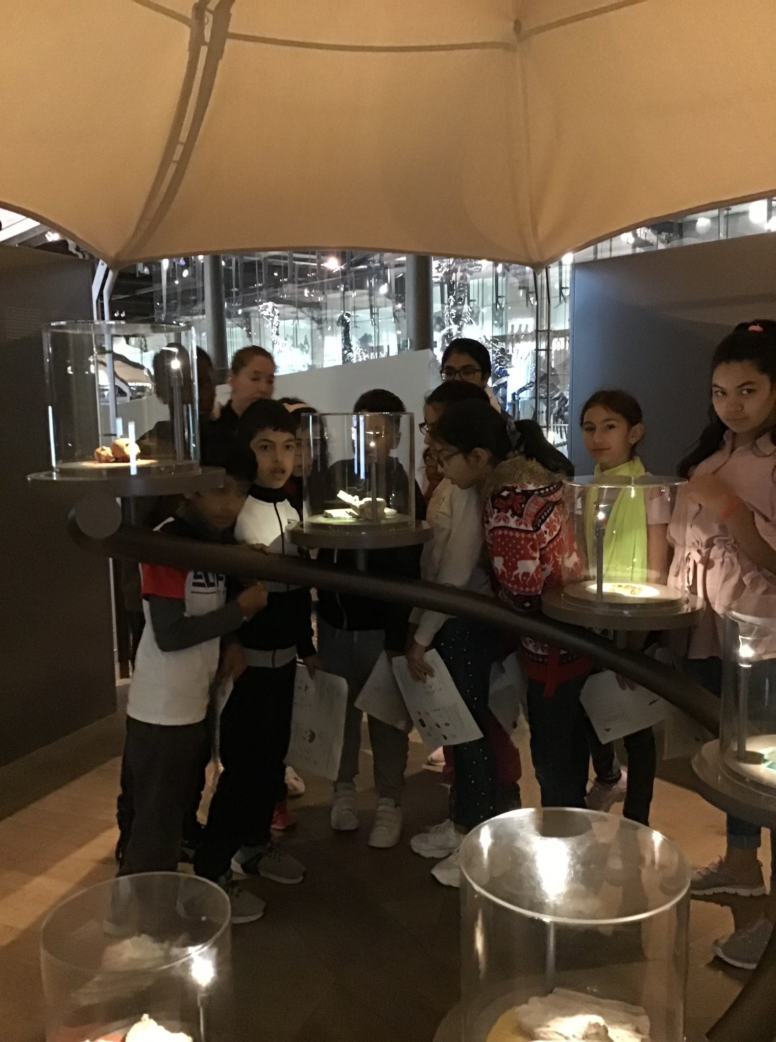 Sortie au Musée des sciences naturelles