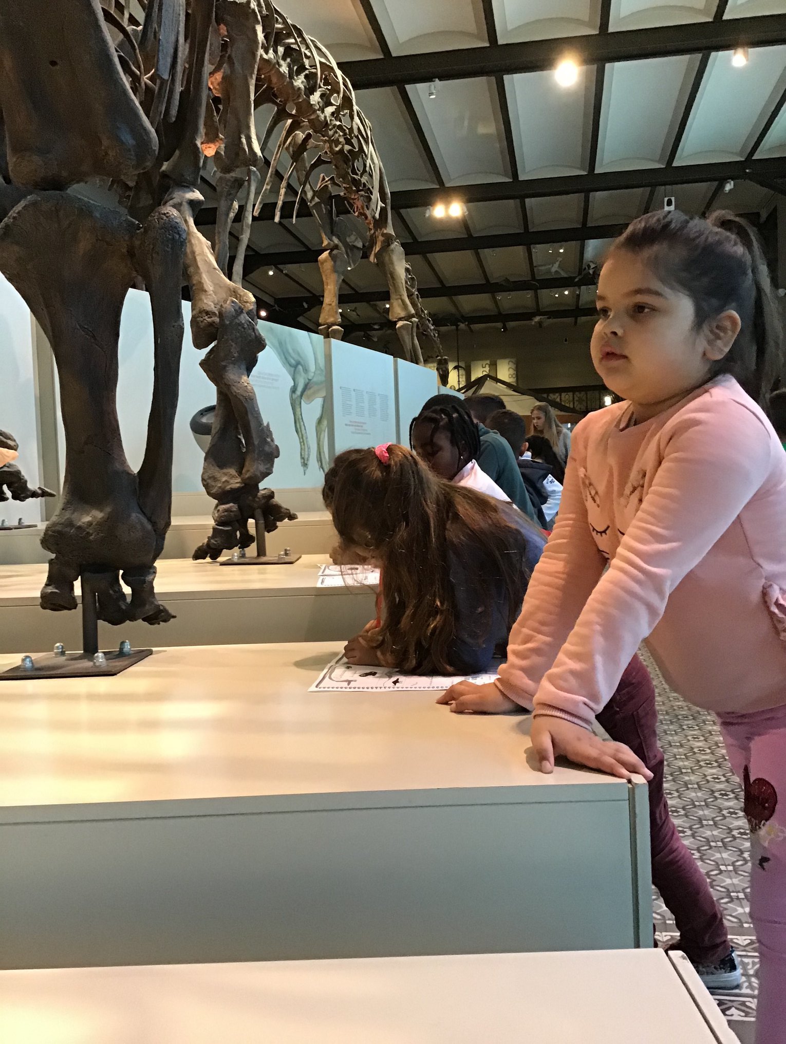 Sortie au Musée des sciences naturelles