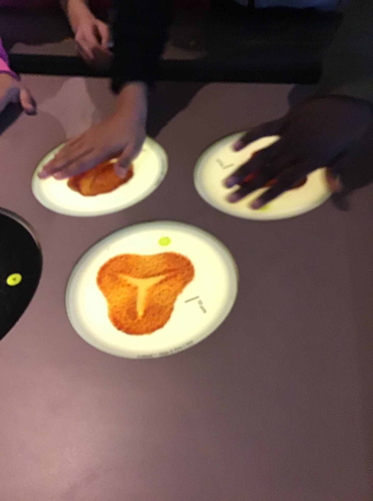 Sortie au Musée des sciences naturelles