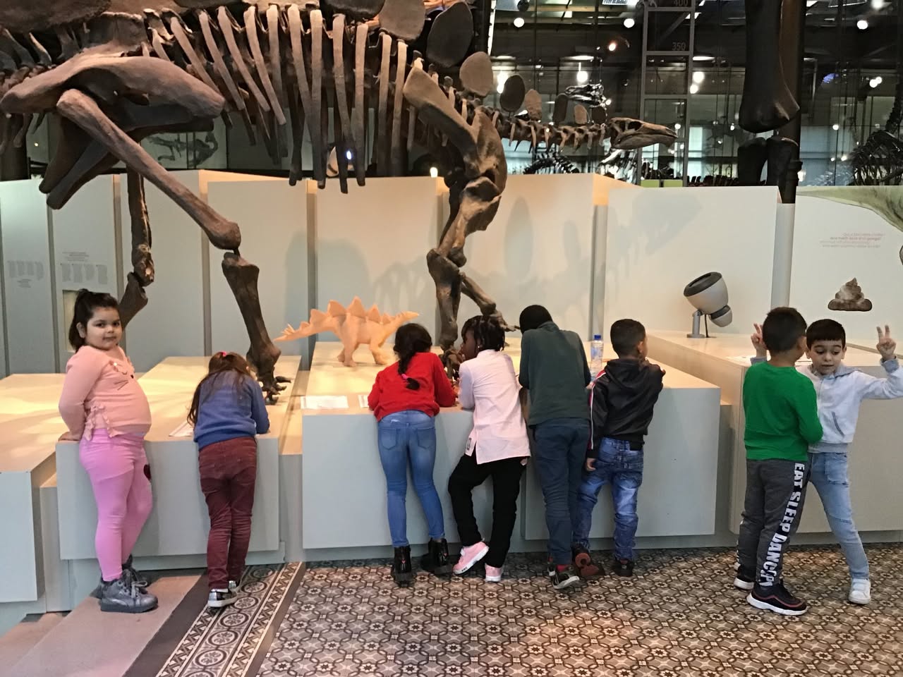 Sortie au Musée des sciences naturelles