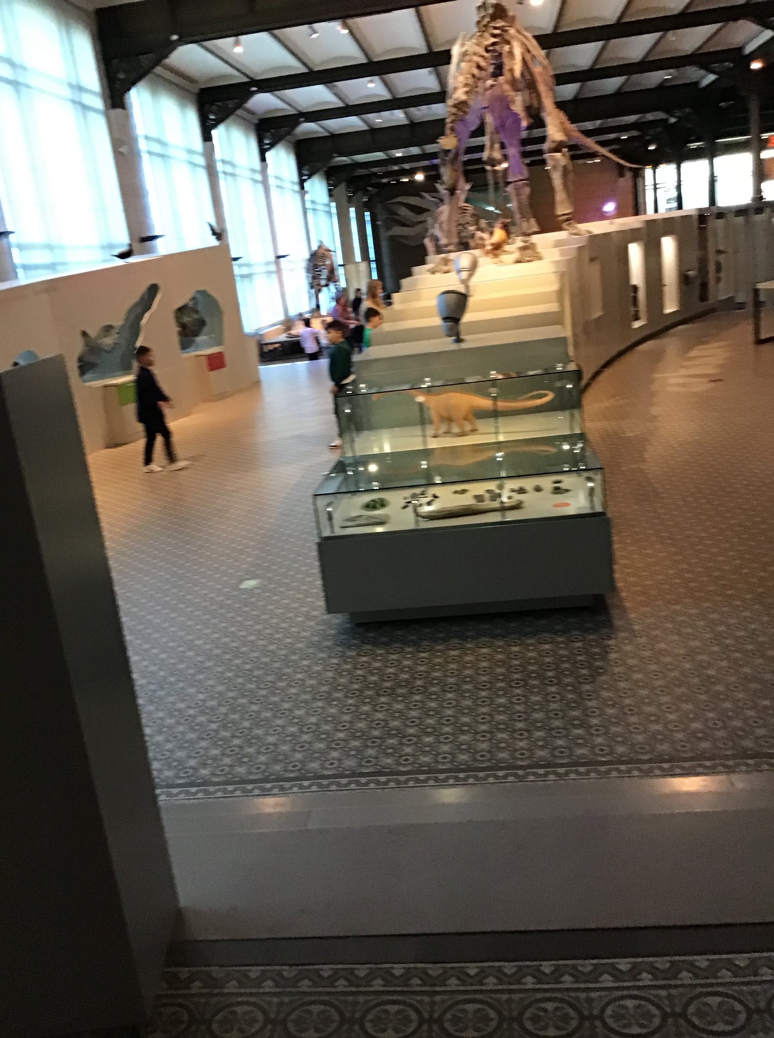 Sortie au Musée des sciences naturelles