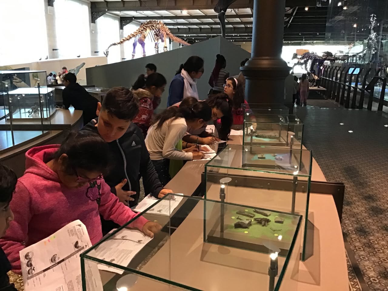 Sortie au Musée des sciences naturelles