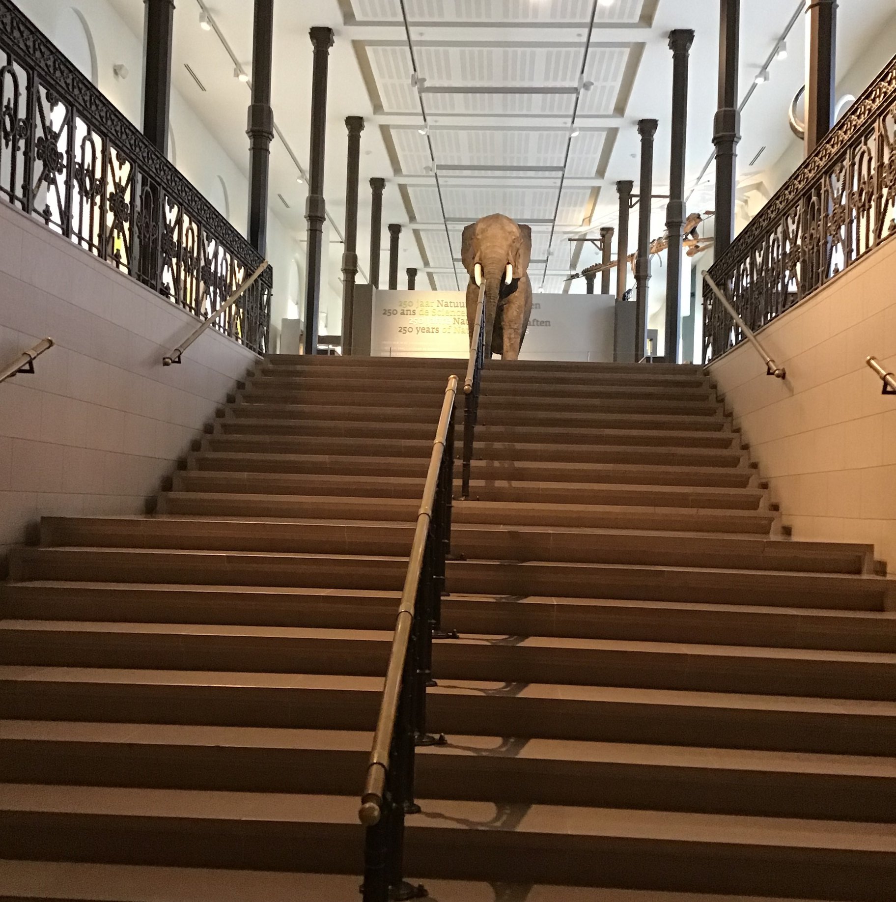 Sortie au Musée des sciences naturelles