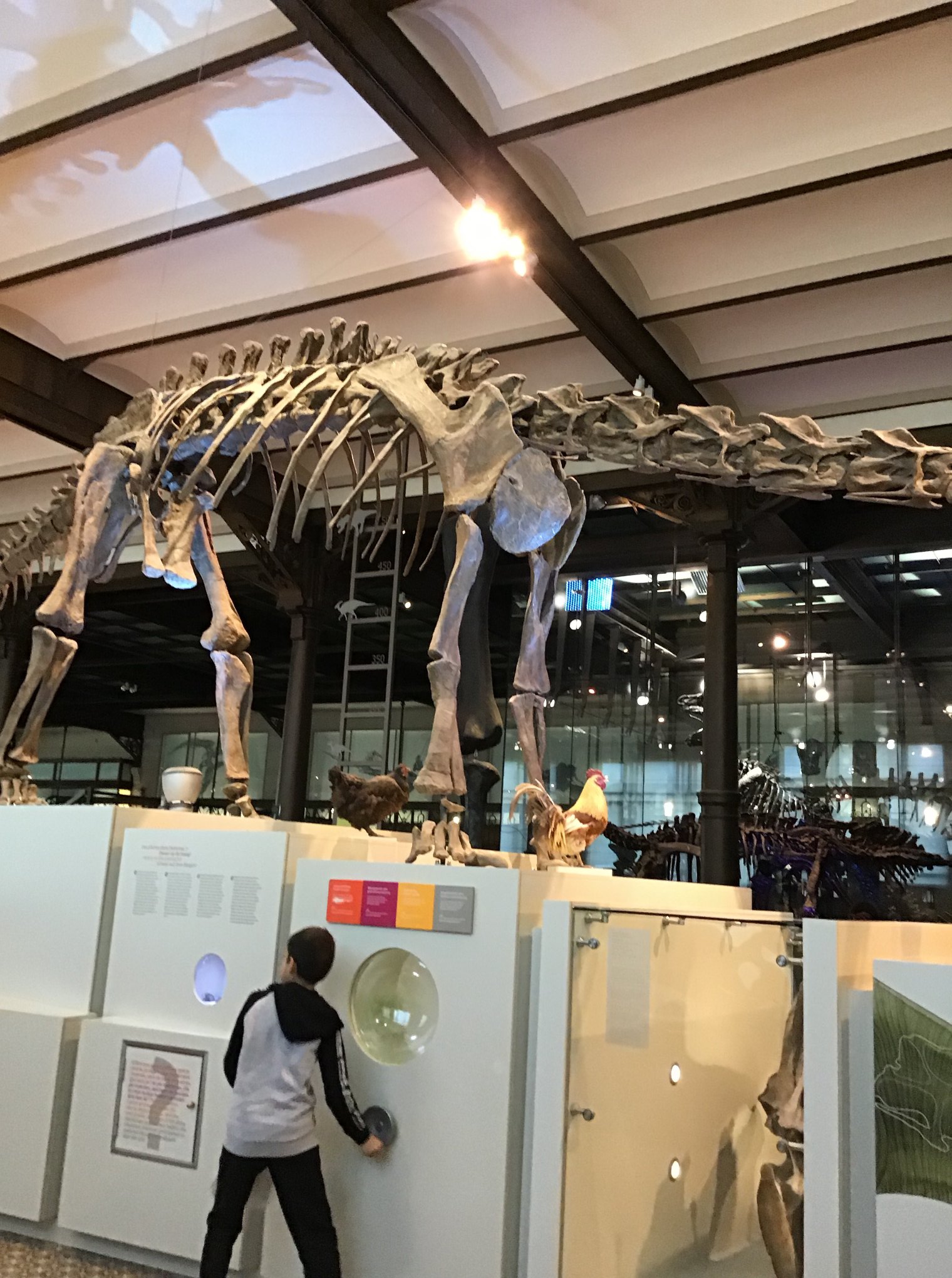 Sortie au Musée des sciences naturelles
