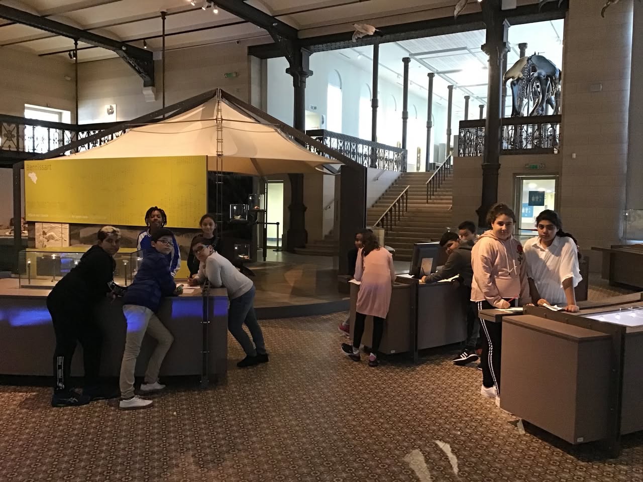 Sortie au Musée des sciences naturelles