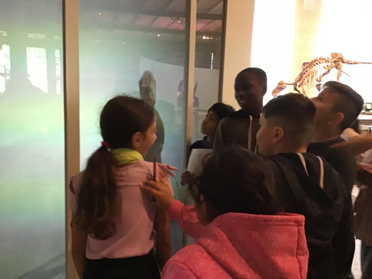 Sortie au Musée des sciences naturelles