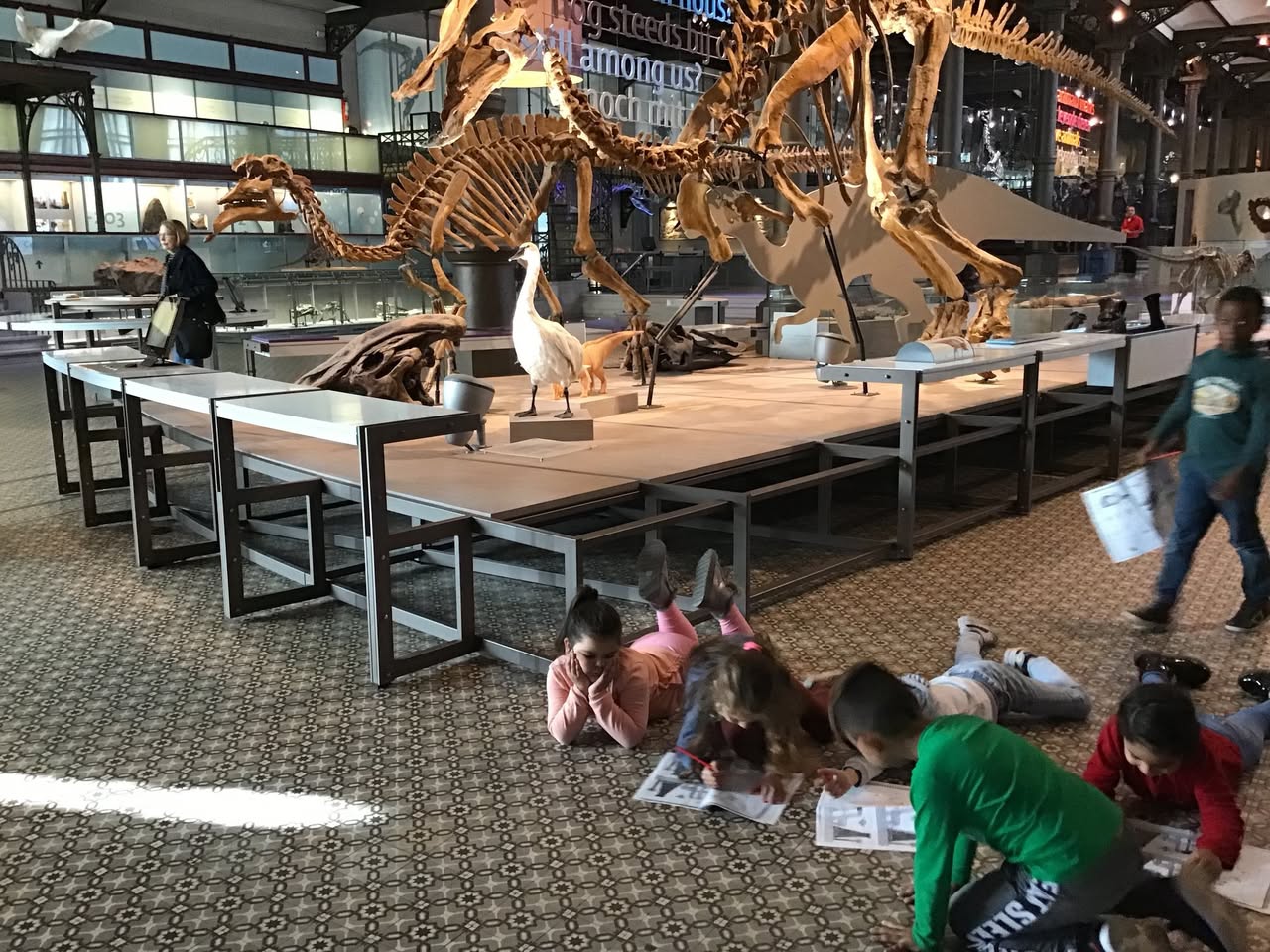 Sortie au Musée des sciences naturelles
