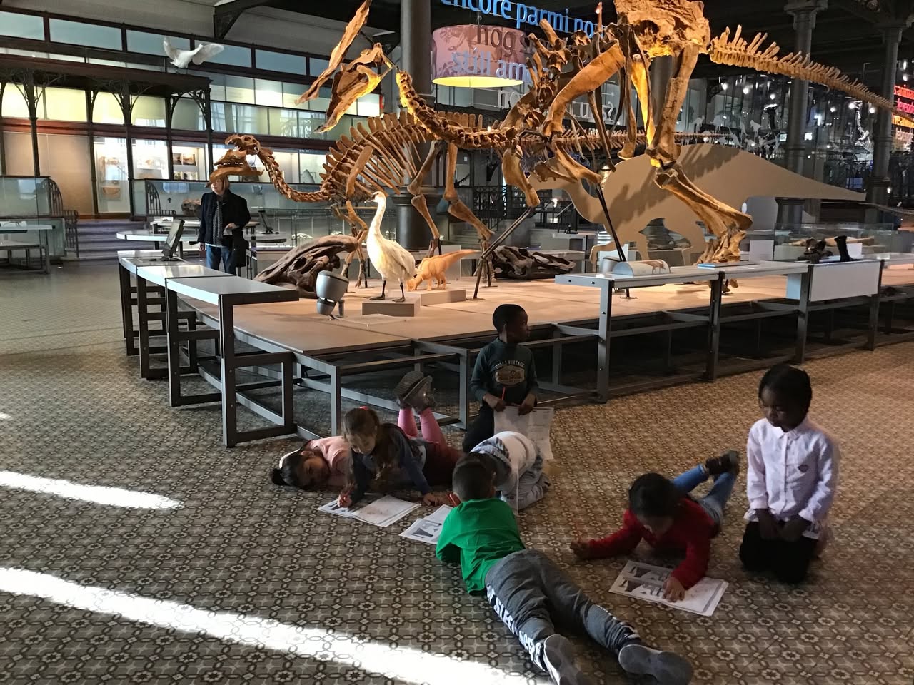 Sortie au Musée des sciences naturelles