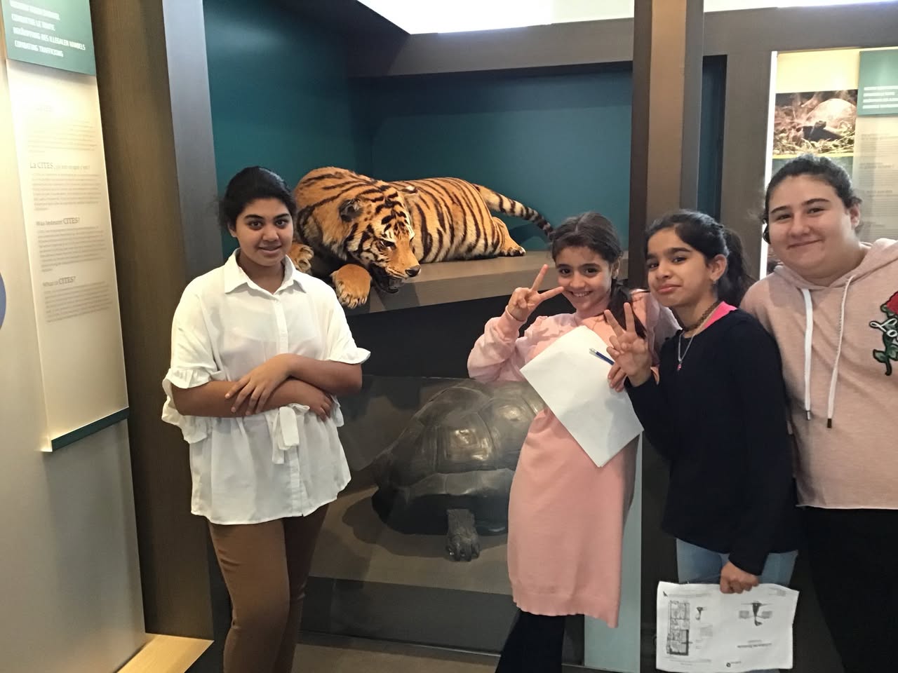 Sortie au Musée des sciences naturelles