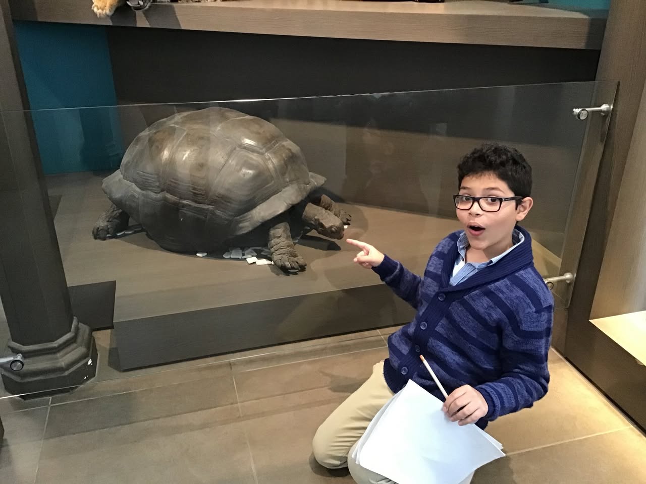 Sortie au Musée des sciences naturelles
