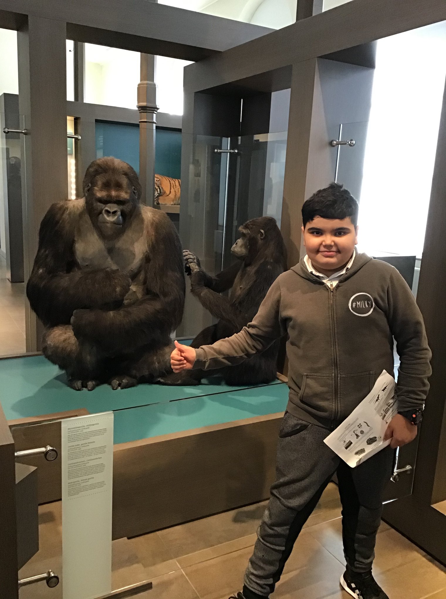 Sortie au Musée des sciences naturelles