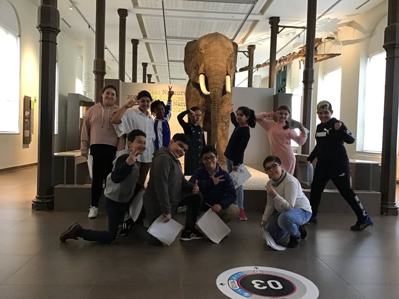 Sortie au Musée des sciences naturelles