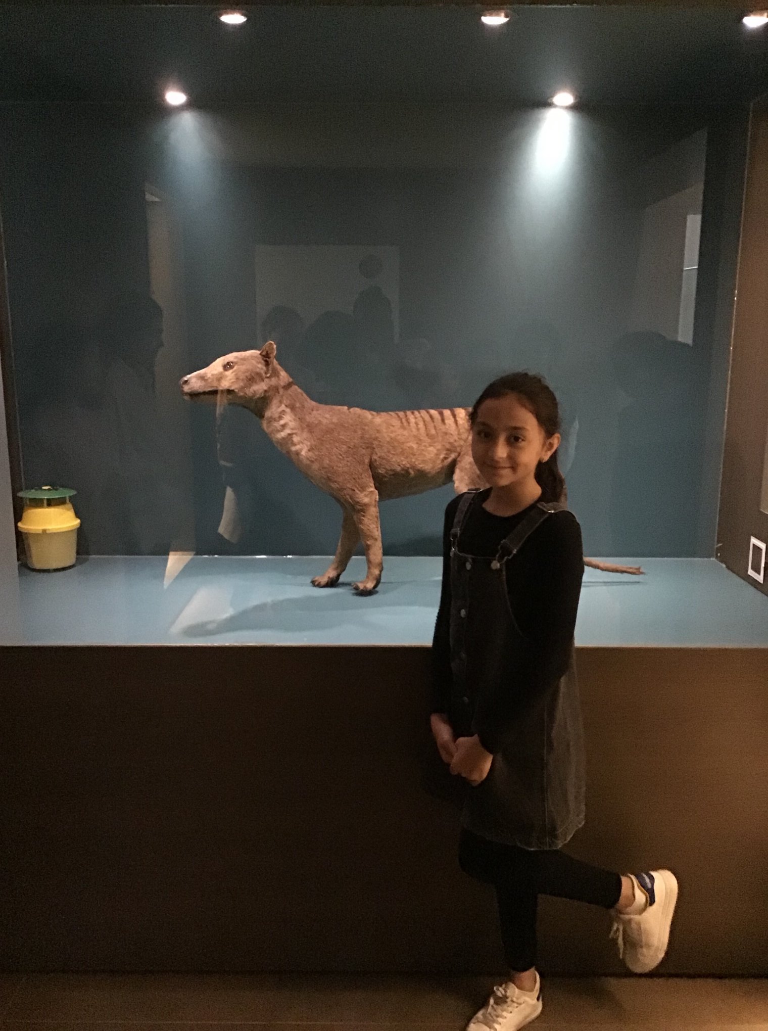 Sortie au Musée des sciences naturelles