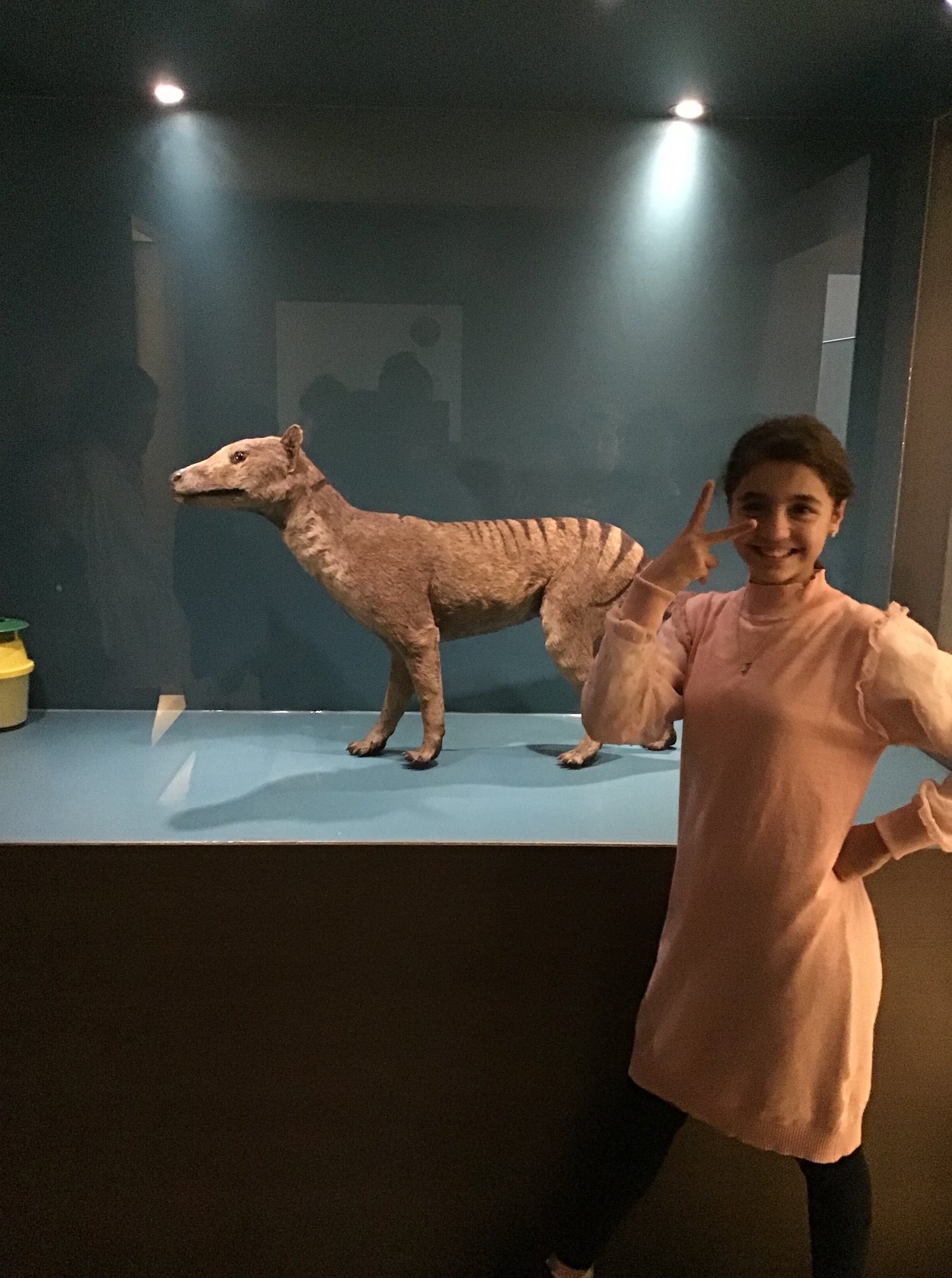 Sortie au Musée des sciences naturelles