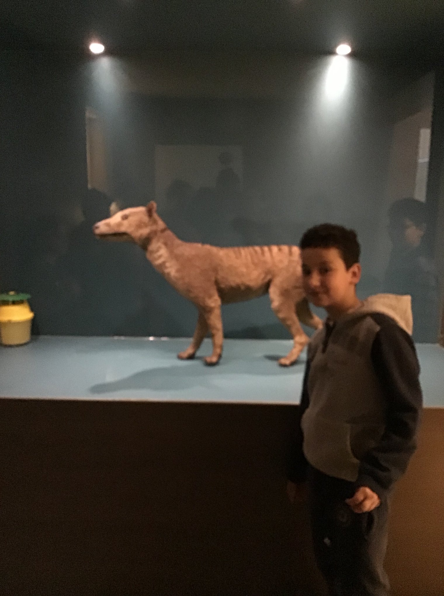 Sortie au Musée des sciences naturelles