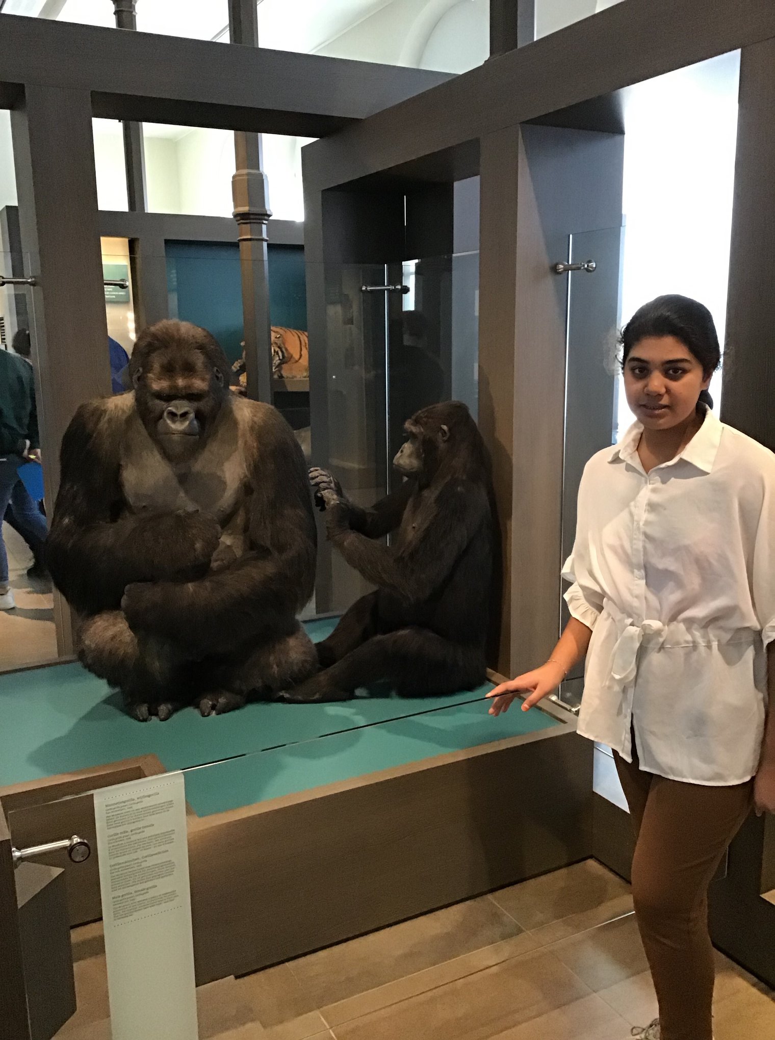 Sortie au Musée des sciences naturelles