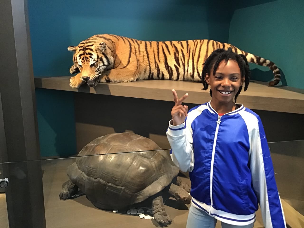 Sortie au Musée des sciences naturelles