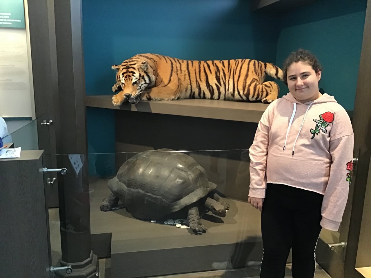 Sortie au Musée des sciences naturelles